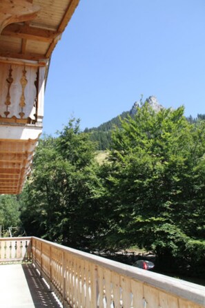 Property grounds - Traditional Haute-Savoie chalet near Lake Geneva. 10 sleeps (Bernex)