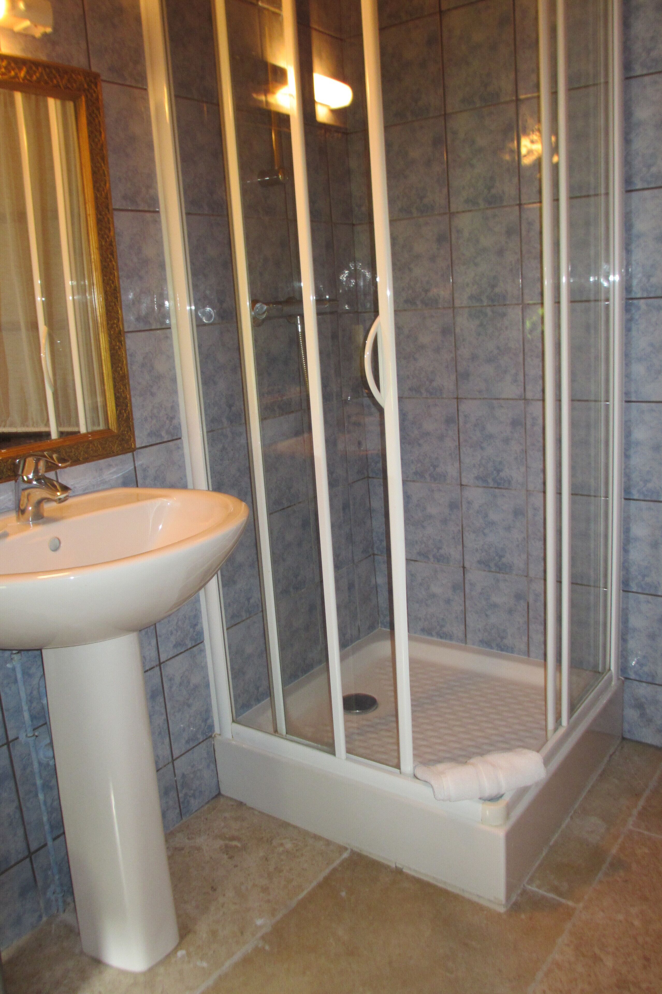 A bathroom with a white sink, a glass shower enclosure, and a mirror with a gold frame.
