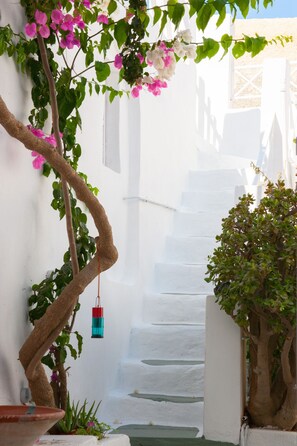 Property grounds -  TRADITIONAL Cave RESIDENCE in the  heart of old OIA (SANTORINI)