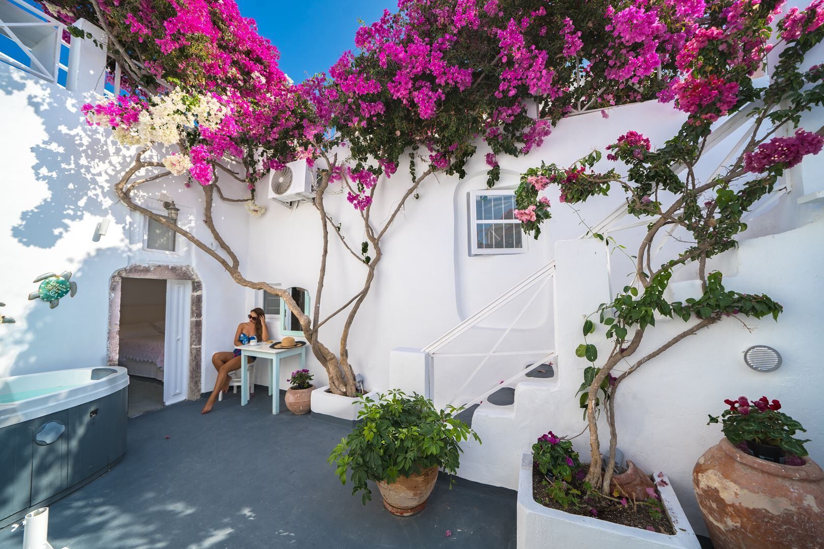 テラス / パティオ