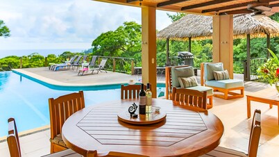 Luxury Jungle Villa~Honeymoon Privacy~Ocean View~Infinity Pool~Wildlife~A/C