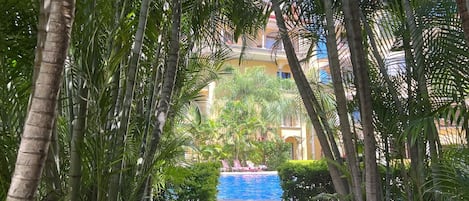 A pathway leading to a pool surrounded by lush greenery and palm trees.