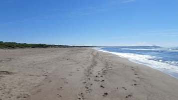 Beach nearby, sun-loungers