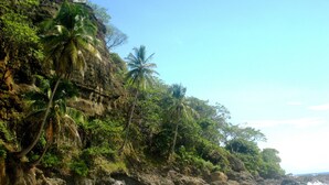 A beach with a rocky cliff, palm trees, and a clear sky. - Cliff House with Private Infinity Pool. 3 Minute Walk to the Beach. (Puntarenas)