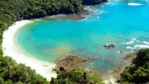 Una playa costera con aguas turquesas cristalinas, orillas de arena blanca y vegetación verde exuberante.