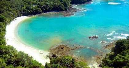 Casa de árbol de lujo en el corazón de Manuel Antonio!