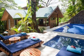 Pool - Luxury Tree House in the heart of Manuel Antonio! (quepos)