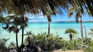 A beach view with palm trees and a clear blue sea. - Blue Bahia, Majestic View Villa,Ten Bay, Tiki Huts & Generator,10% Off  7+nights (Eeuthera)