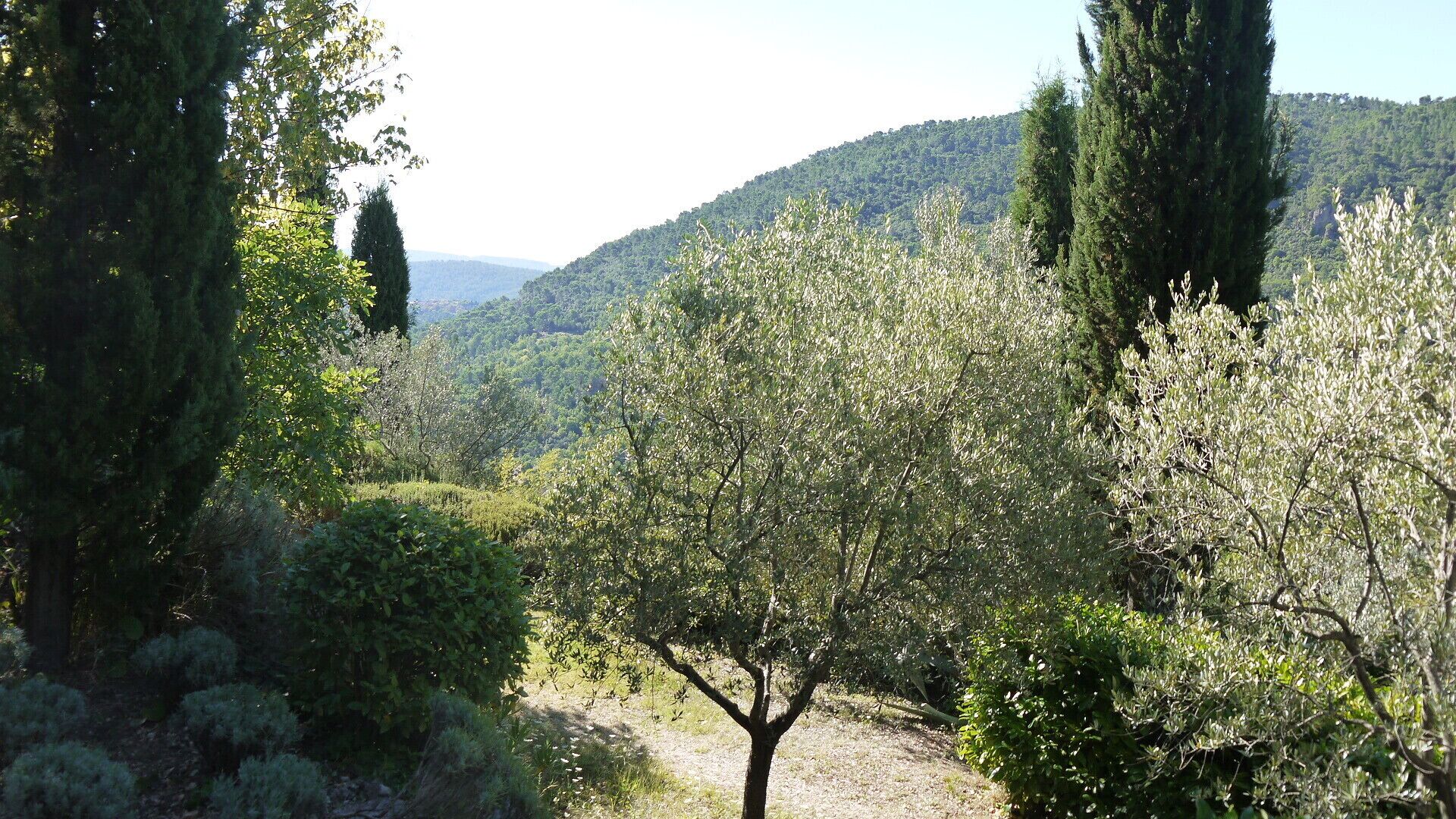 View from path