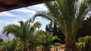 A garden with various potted plants and palm trees.