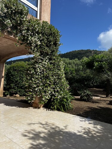 Wohnung mit Garten, 5000 qm Land, ideal gelegener Strand von Pinarello 