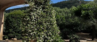 Flat with garden, 5000 sq. mt. of land, ideally located at Pinarello beach 