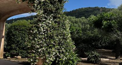 Wohnung mit Garten, 5000 qm Land, ideal gelegener Strand von Pinarello