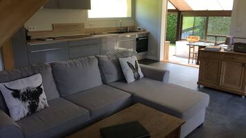 Televisión, chimenea, reproductor de DVD, libros