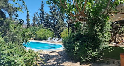 Situé au calme au milieu de vieux oliviers avec piscine privée et jardin!
