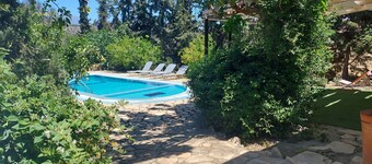 Villa Elia is situated in a quiet area, surrounded by olive trees with a private