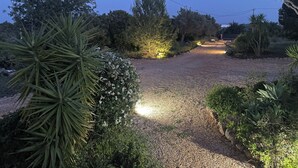 A gravel pathway in a garden with various plants and trees, illuminated by soft lighting. -  Portugal Private Villa with private pool rural quiet tranquil setting (moncaropacho)