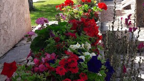 A garden with various potted plants and flowers. - Villa, private swimming pool exclusive to tenants (Cabasse)