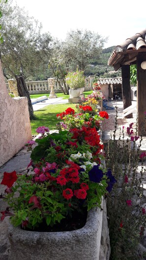 DĂ©tail de lâextĂ©rieur