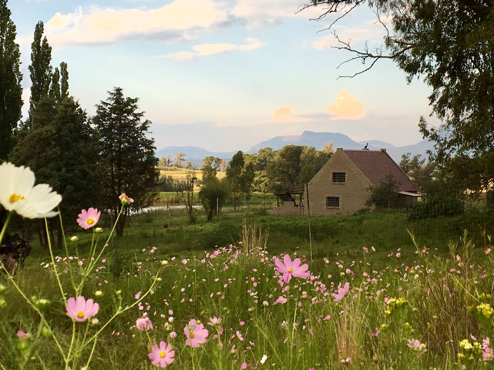 Áreas de la propiedad