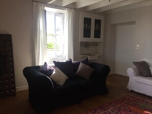 Télévision, cheminée, lecteur de DVD, livres