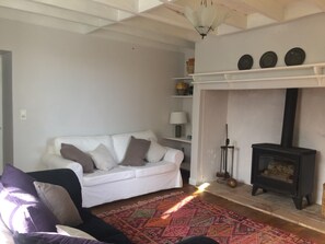 Televisión, chimenea, reproductor de DVD y libros 