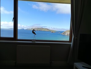 A room with a large window overlooking a coastal landscape, a radiator below the window, and a small table to the right.