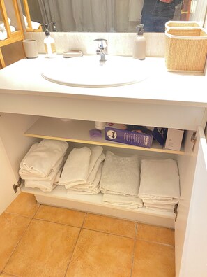 Combined shower/bathtub, hair dryer, bidet, towels