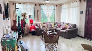 TV, DVD player, books, video library