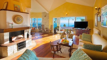 TV, fireplace, books