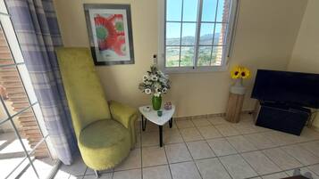 TV connectée, cheminée, lecteur de DVD, table de tennis de table