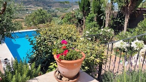 A pool surrounded by lush greenery and a scenic view of hills.