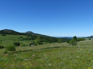 Property grounds - La roulotte des Estables (Les Estables)