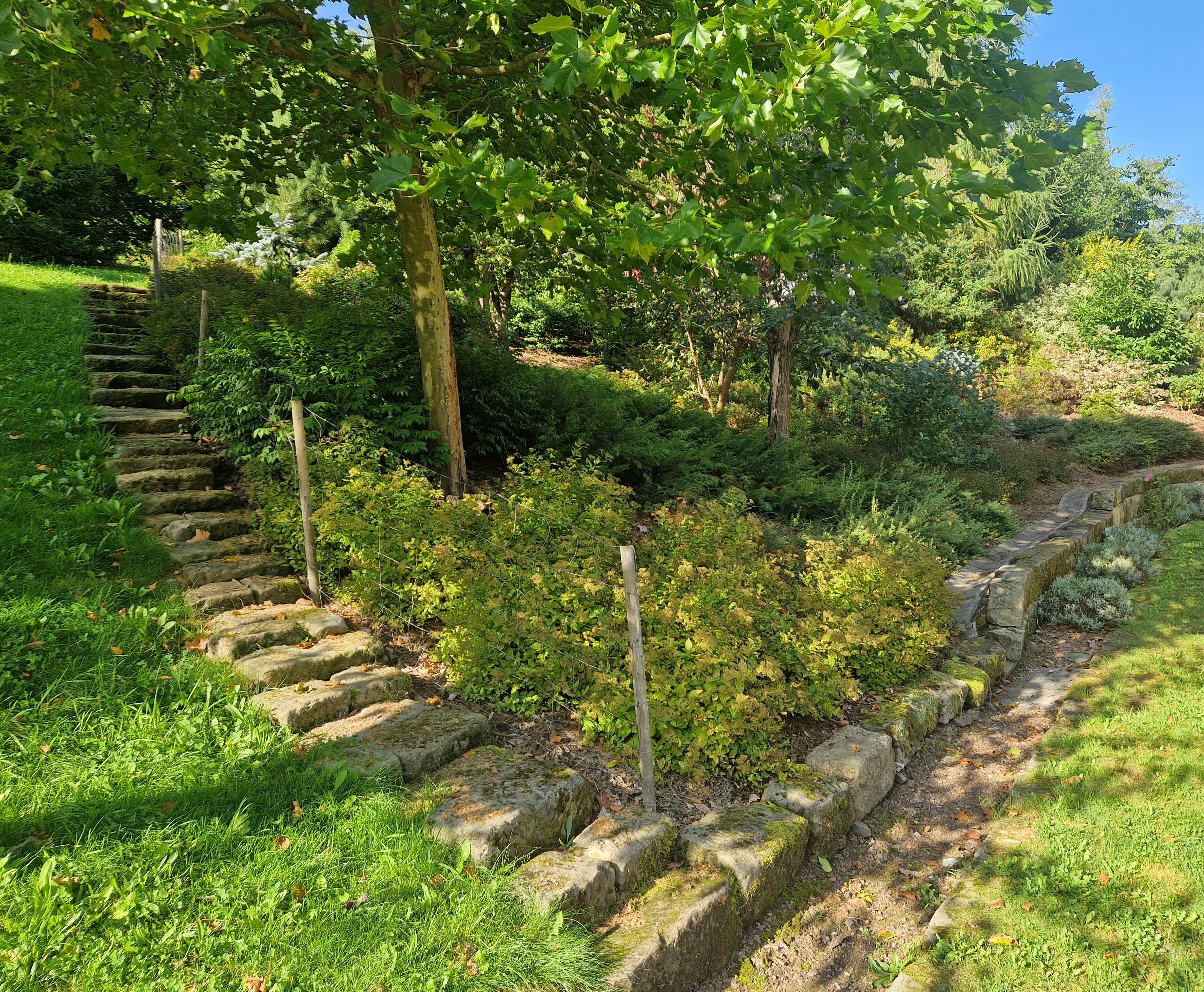 A stone staircase leading up a grassy slope, surrounded by dense greenery and trees.