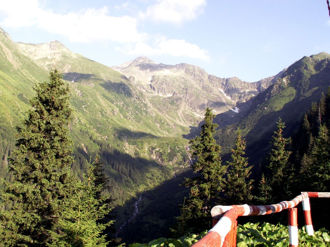 Un paysage montagneux comprenant une vallée, une forêt dense et un sentier délimité par une barrière à rayures rouges et blanches.