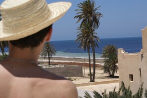 Une vue d’une plage bordée de palmiers, avec un ciel bleu et dégagé.