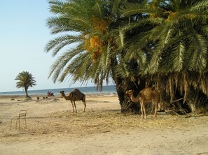 Beach nearby