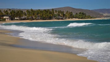 Beach nearby, beach towels