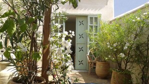 A small courtyard with potted plants, a chair, and a door with a butterfly design. - Beau Riad for Rent (Fès-Boulmane)