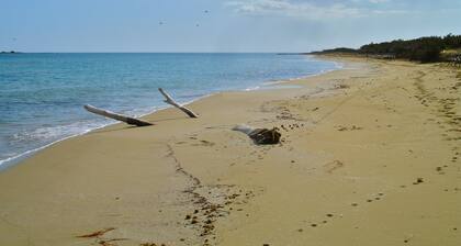 Viime hetken saatavuus 24.-31. Elokuuta