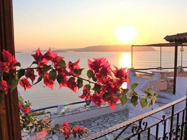 Terrain de l’hébergement 