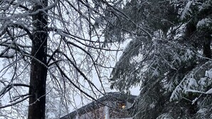 Schneebedeckte Landschaft, ein Haus ist teilweise von Bäumen verdeckt.