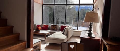 Smart TV, fireplace, DVD player, books