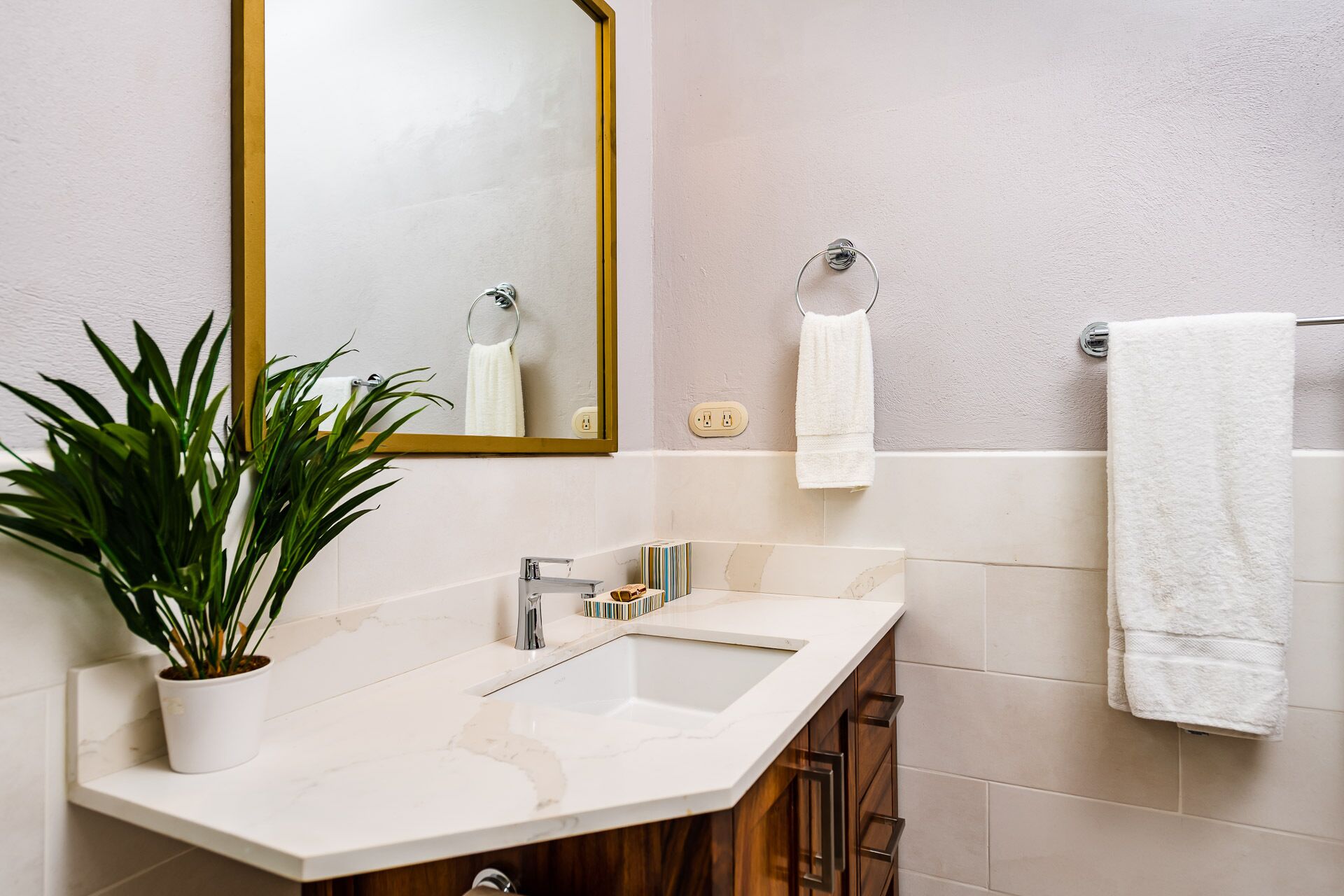 Un baño con un lavamanos blanco, un espejo y una planta en maceta.