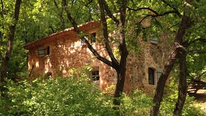 Edifici de pedra rústic envoltat d'un dens verdall.