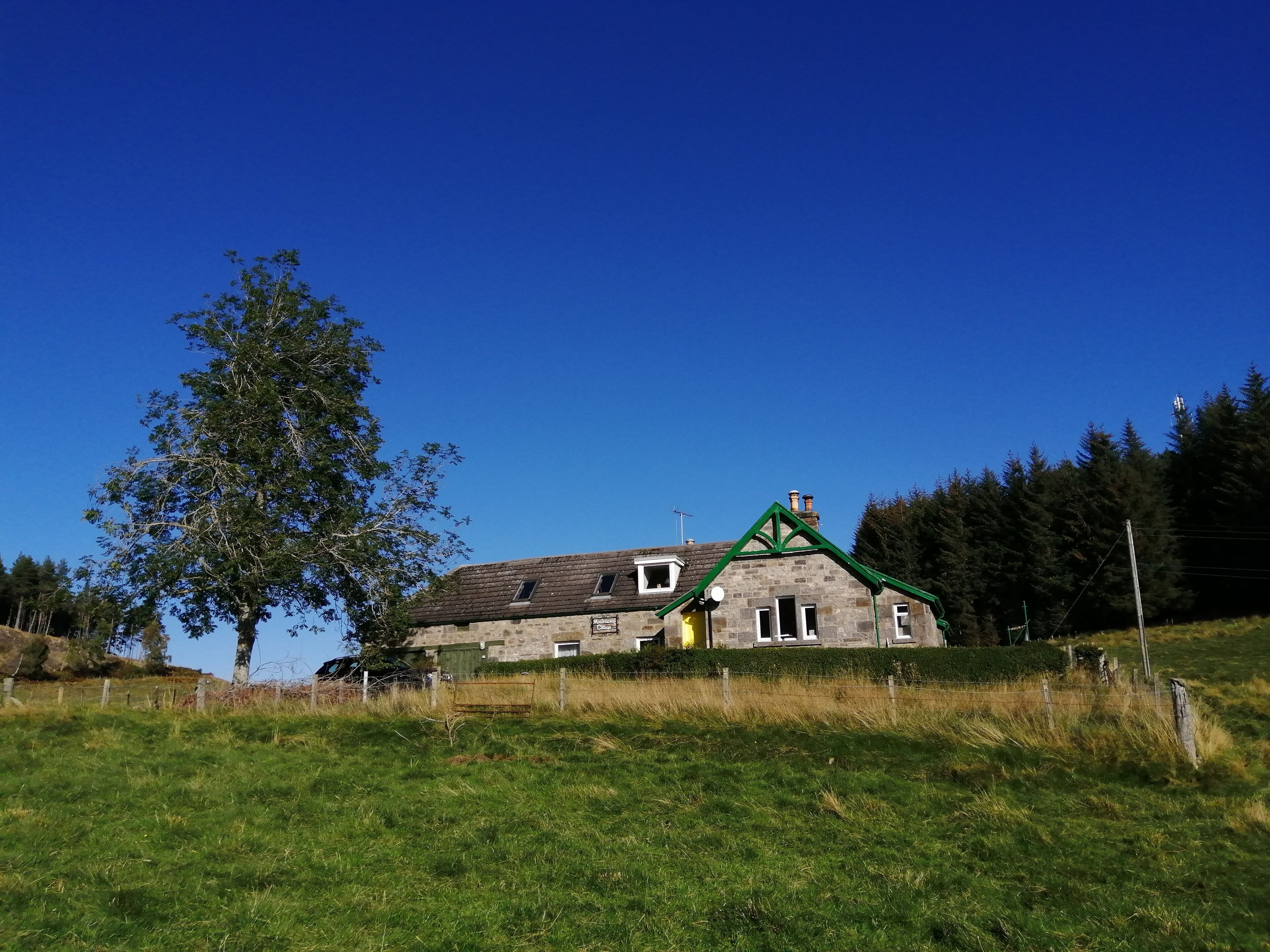 Eksteriør
