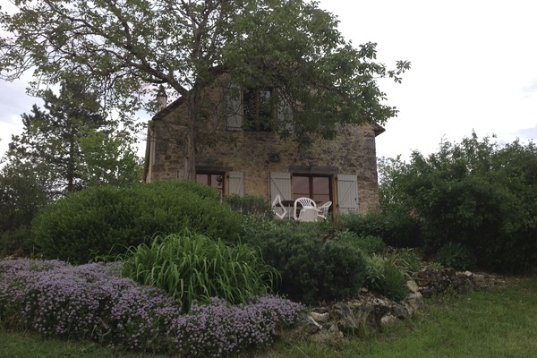 Looking  towards the house from just below