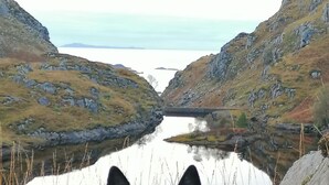 Un chien est assis dans un espace herbeux, avec un lac et des collines rocheuses en arrière-plan.