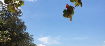 Garden Beach Villa D15 by the garden to the beach