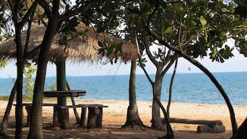 Ligstoelen aan het strand